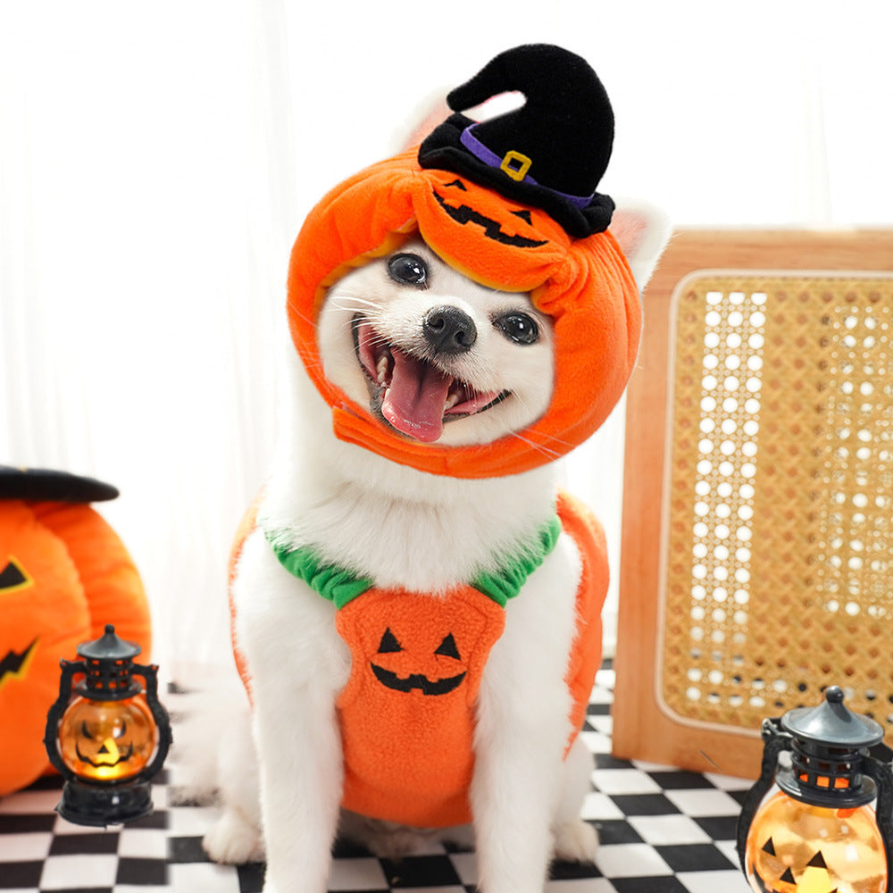 Costum Dovleac de Top! 🎃 Accesoriul de Halloween MUST-HAVE pentru Câini și Pisici! 🐾👻