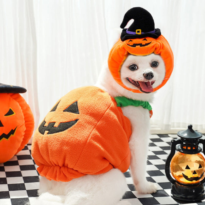 Costum Dovleac de Top! 🎃 Accesoriul de Halloween MUST-HAVE pentru Câini și Pisici! 🐾👻