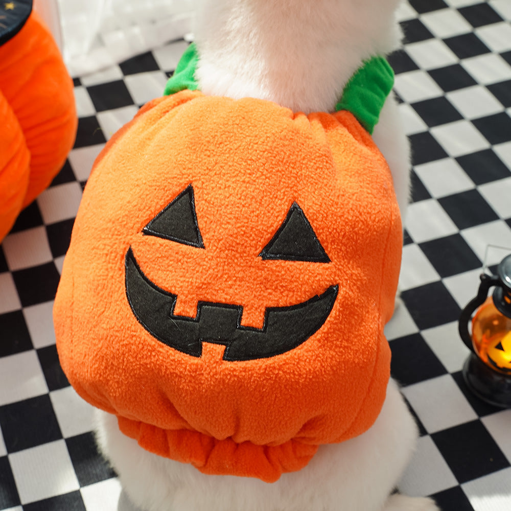 Costum Dovleac de Top! 🎃 Accesoriul de Halloween MUST-HAVE pentru Câini și Pisici! 🐾👻