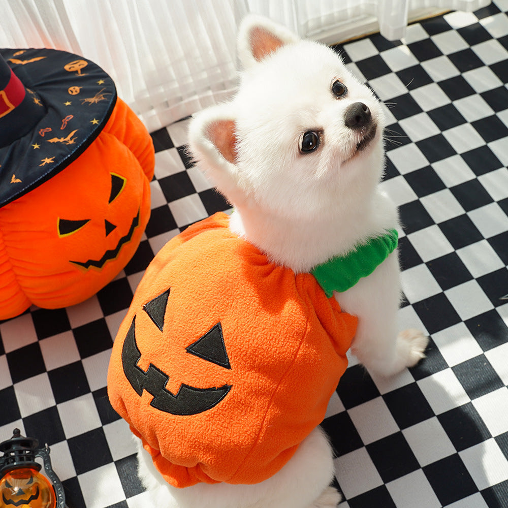 Costum Dovleac de Top! 🎃 Accesoriul de Halloween MUST-HAVE pentru Câini și Pisici! 🐾👻