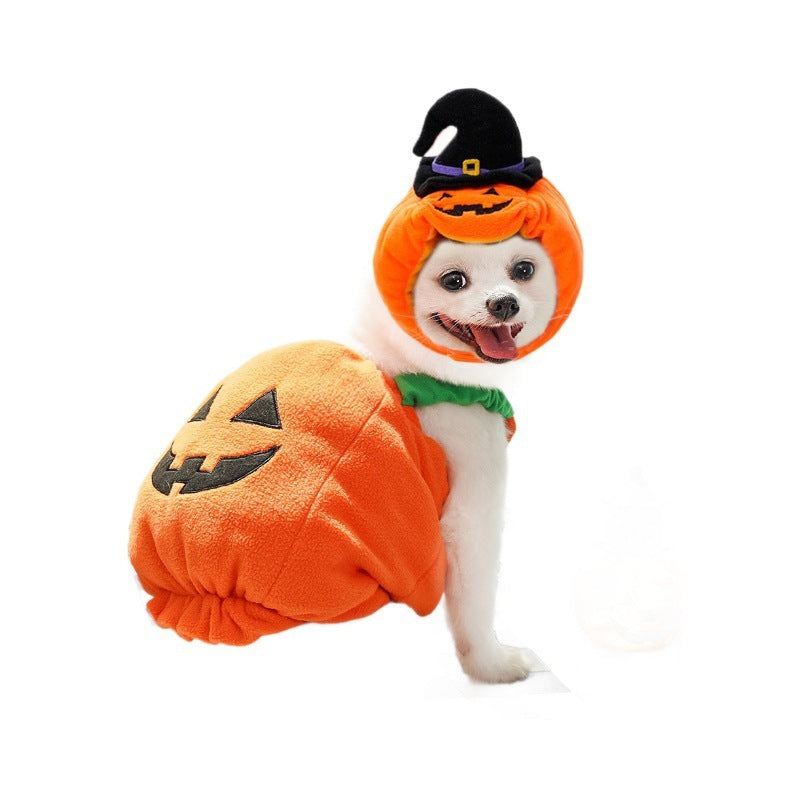 Costum Dovleac de Top! 🎃 Accesoriul de Halloween MUST-HAVE pentru Câini și Pisici! 🐾👻