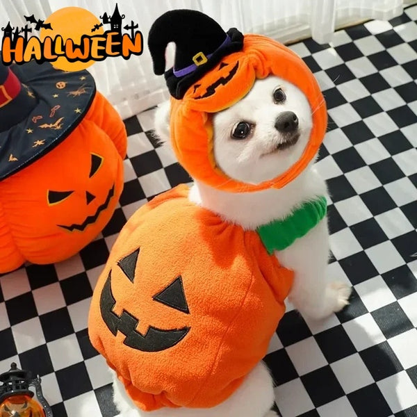 Costum Dovleac de Top! 🎃 Accesoriul de Halloween MUST-HAVE pentru Câini și Pisici! 🐾👻