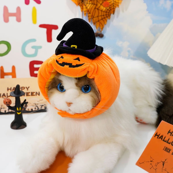 Costum Dovleac de Top! 🎃 Accesoriul de Halloween MUST-HAVE pentru Câini și Pisici! 🐾👻
